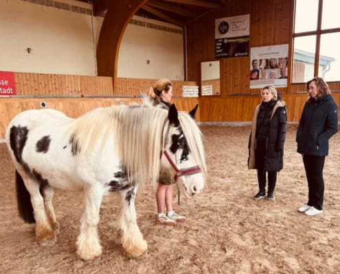 Pferdegestütztes Coaching Intensiv-Ausbildung