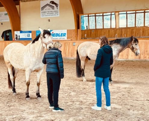 Pferdegestütztes Coaching Kompakt-Ausbildung