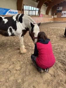 pferdegestütztes Coaching und Training