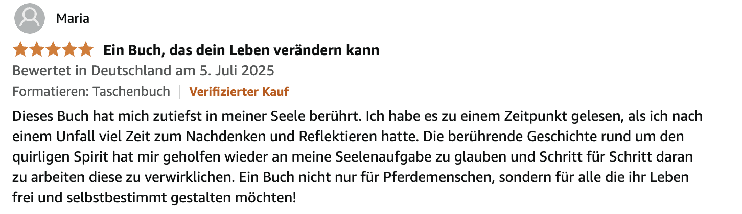 Spirit und die 7 Geheimnisse der Seele