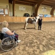 pferdegestütztes Coaching ausbildung pferdegestütztes coaching ausbildung