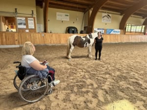 pferdegestütztes coaching ausbildung