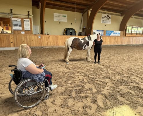 pferdegestütztes coaching ausbildung