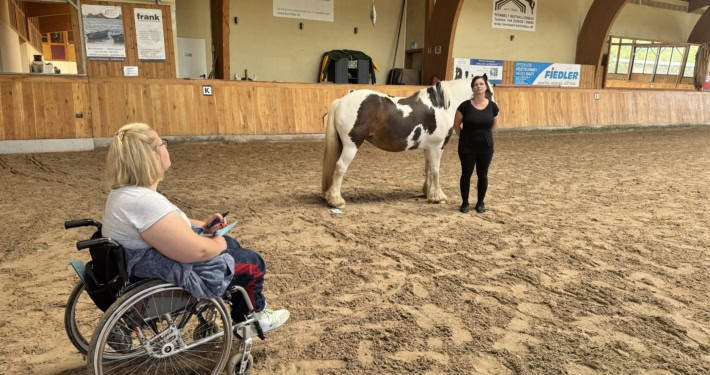 pferdegestütztes coaching ausbildung