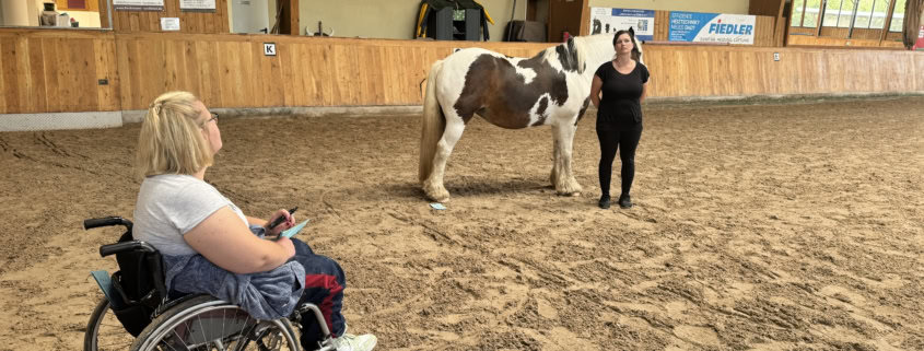 pferdegestütztes coaching ausbildung