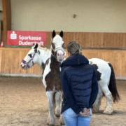 pferdegestütztes coaching ausbildung pferdegestütztes coaching ausbildung