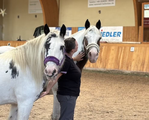 pferdegestütztes coaching ausbildung