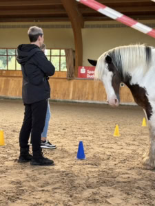 pferdegestütztes coaching ausbildung