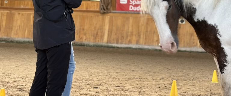 pferdegestütztes coaching ausbildung