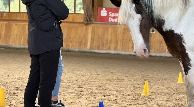 pferdegestütztes coaching ausbildung