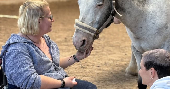 pferdegestütztes coaching ausbildung