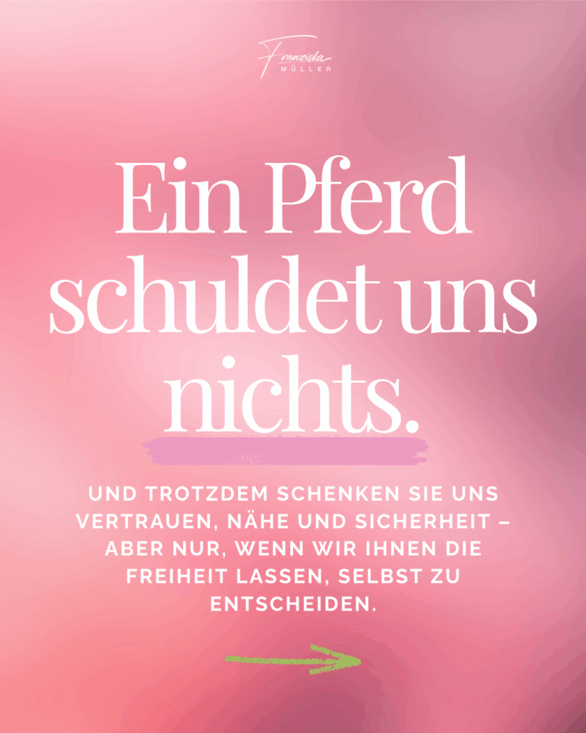 Ausbildung mit Pferden