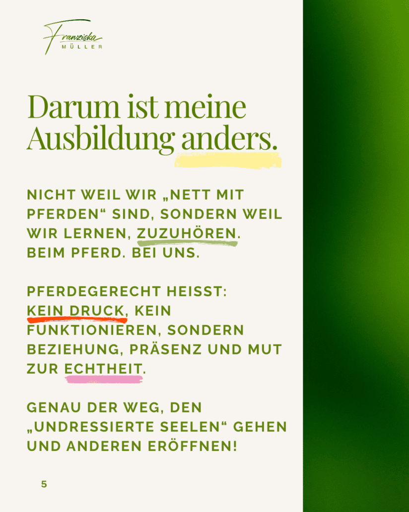 Pferde heilen Menschen