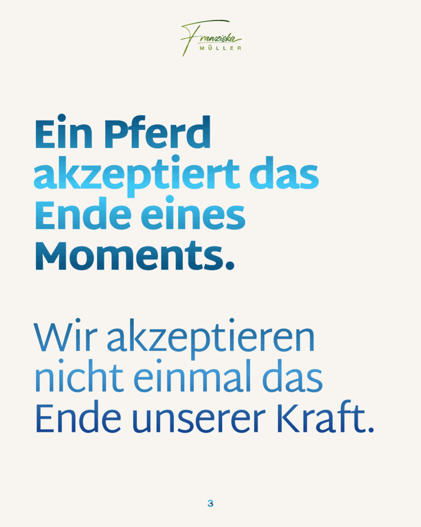 Trauerarbeit mit Pferden