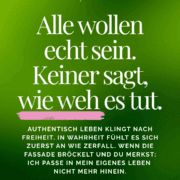 franziska müller coaching mit pferden Pferde heilen Menschen