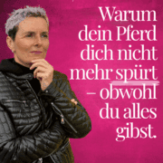 pferdegestütztes coaching ausbildung