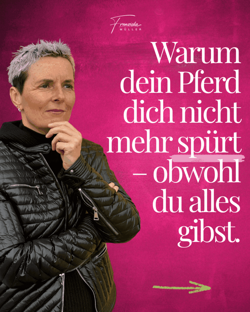 Pferde als Spiegel der Persönlichkeit