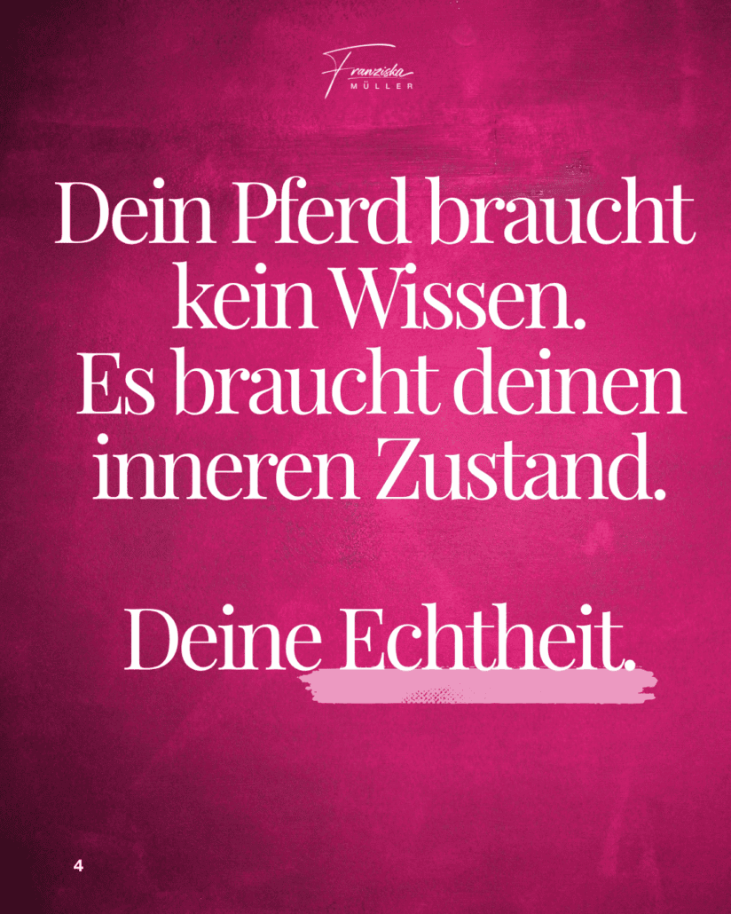 Pferde als Spiegel der Persönlichkeit