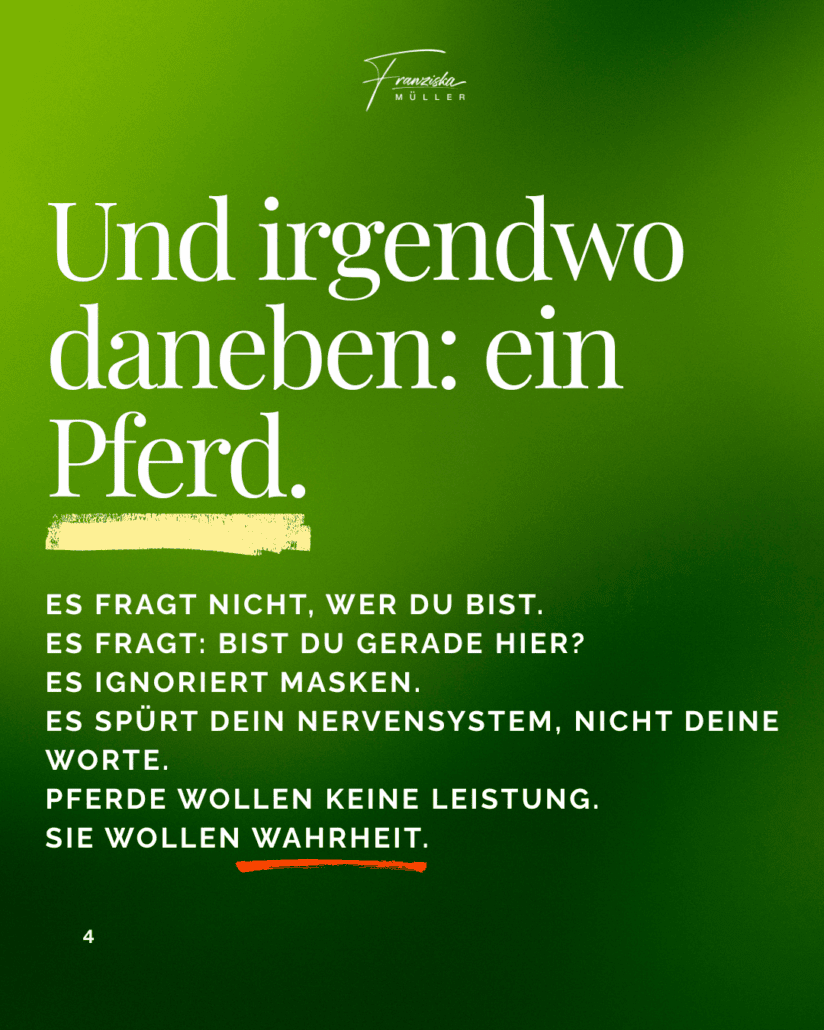 pferde heilen menschen