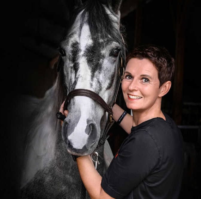 pferdegestütztes coaching