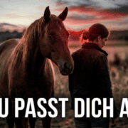 Warum Menschen sich anpassen