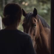 verdeckter narzissmus