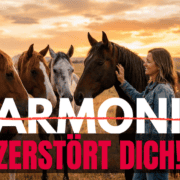 pferdegestütztes coaching Harmoniesucht
