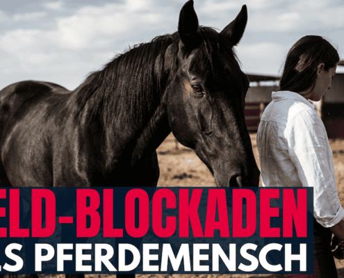 Geld manifestieren Pferdemensch