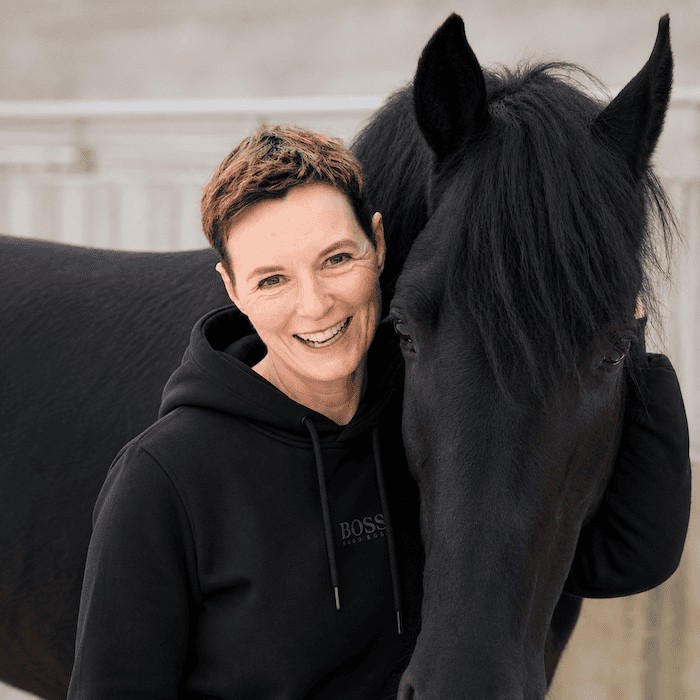 pferdegestütztes coaching